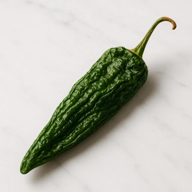 Chile verde del norte