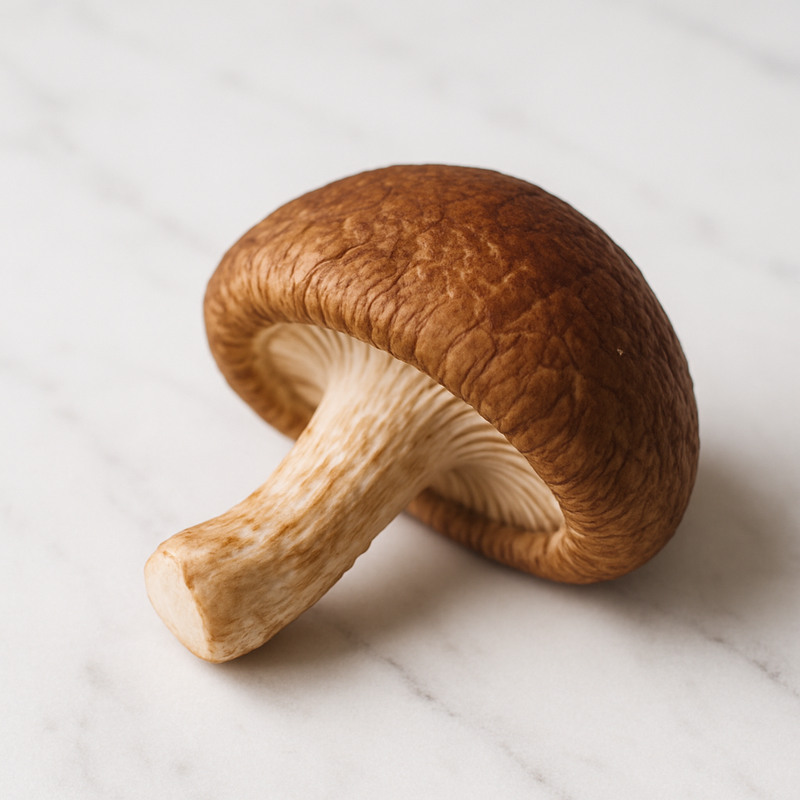 Hongos shiitake