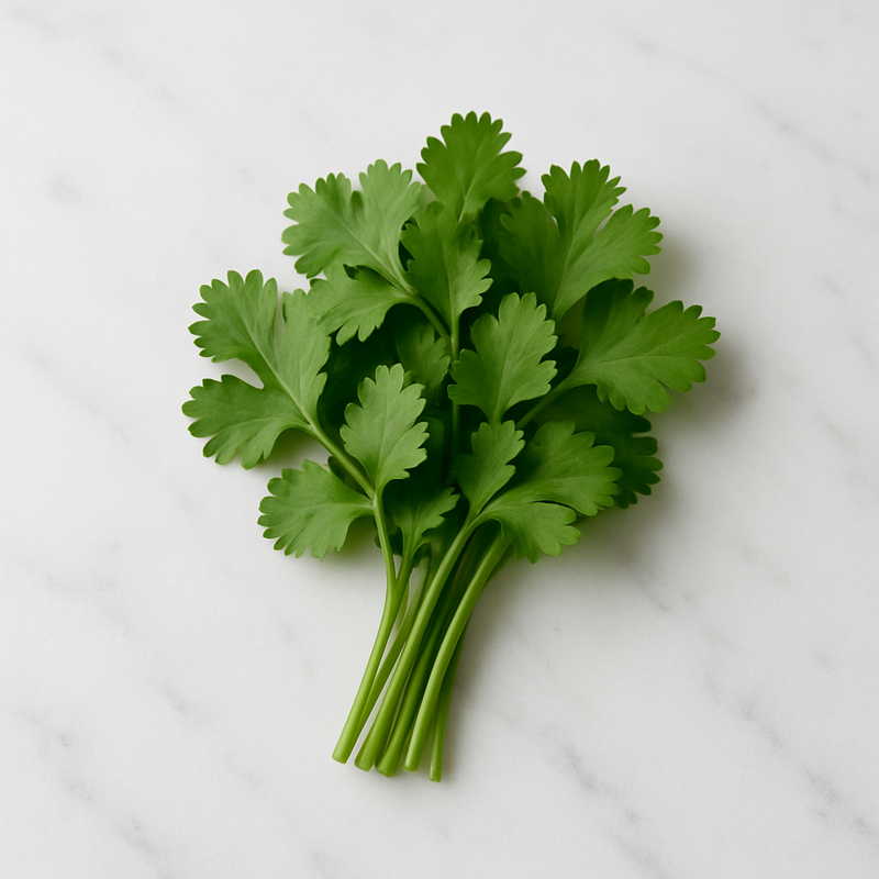 Cebollín o cilantro para decorar